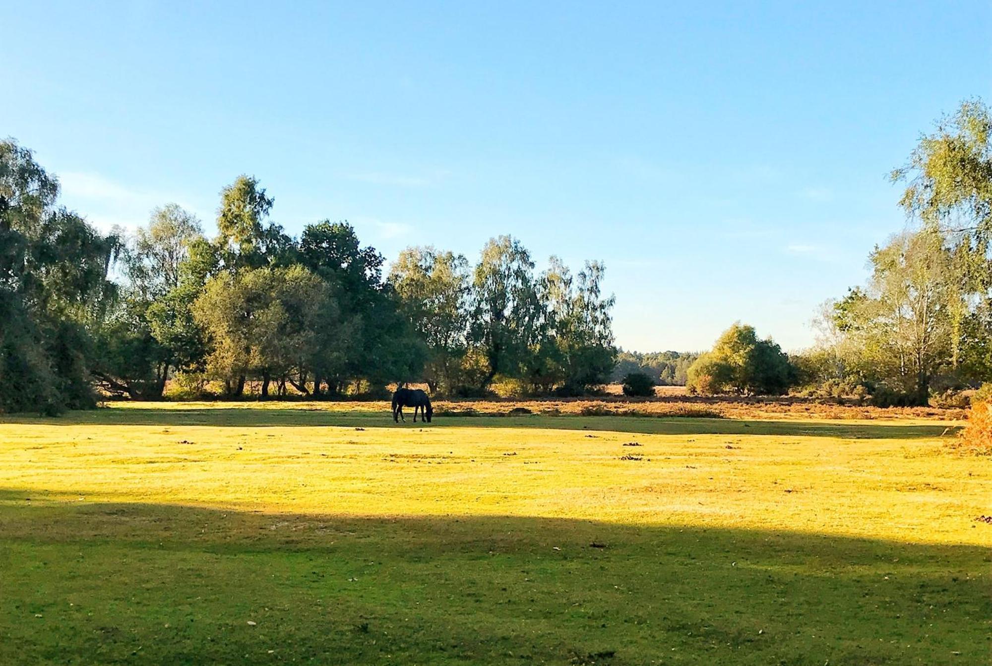 Central And Cosy Brockenhurst Flat 外观 照片